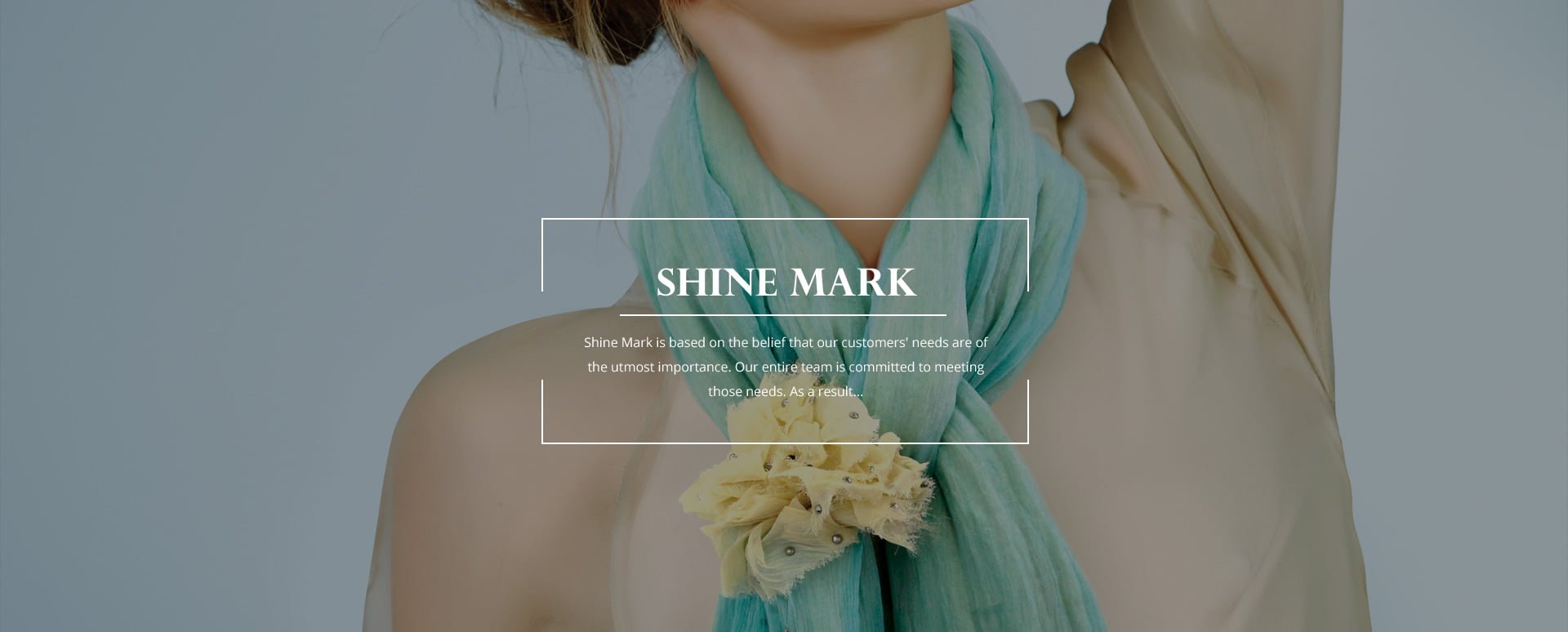 Ecommerce_shine_mark