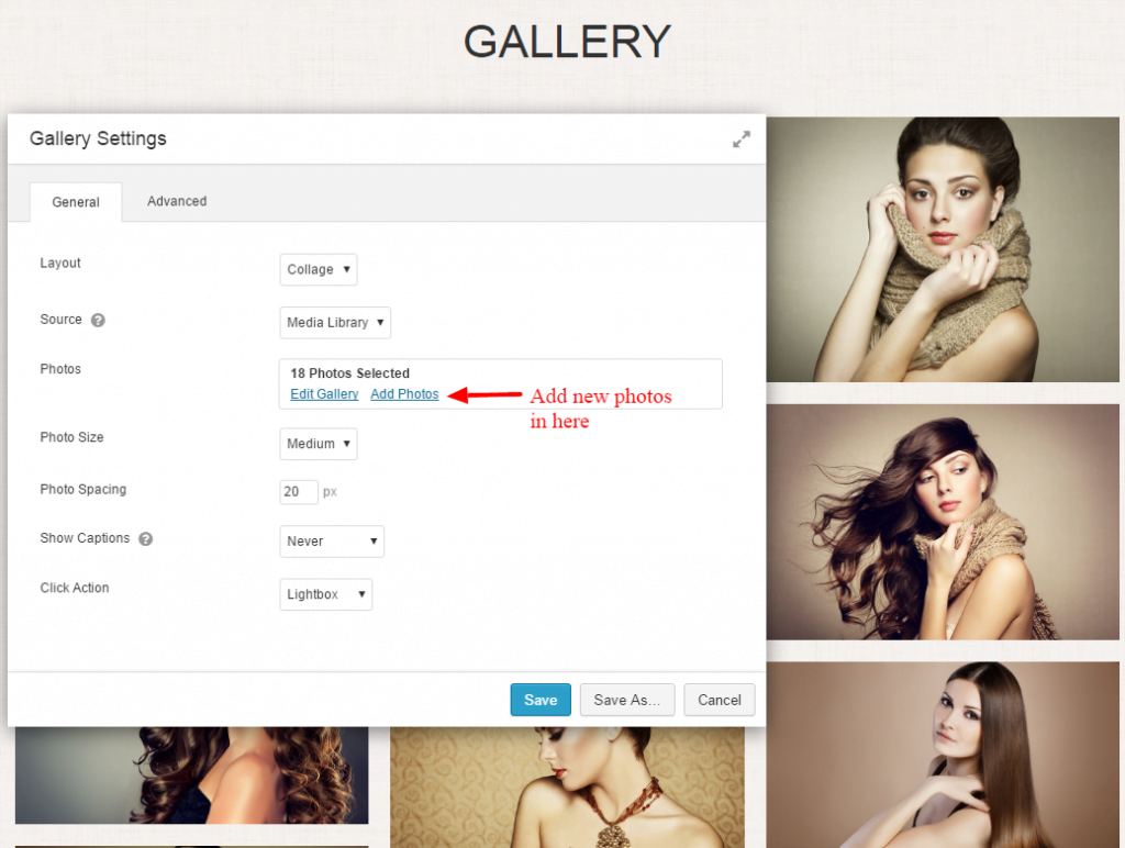 09.如何编辑网页内容-WordPress - Phoenix Wise Web Design & SEO Toronto