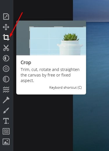 Photoshop在线编辑图片(免费), 电脑菜鸟必备神器 7 how to edit photos online for free 06
