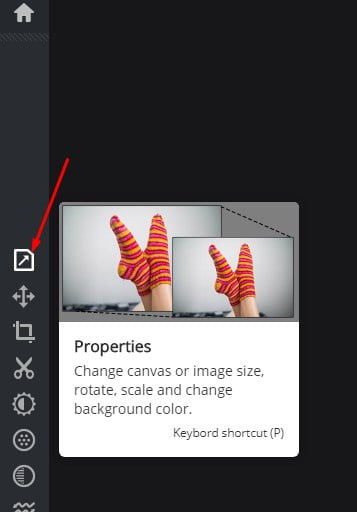 Photoshop在线编辑图片(免费), 电脑菜鸟必备神器 10 how to edit photos online for free 09