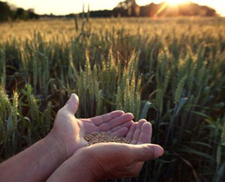 portfolio list OWNACE