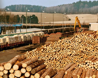 portfolio list sunshinyi 5