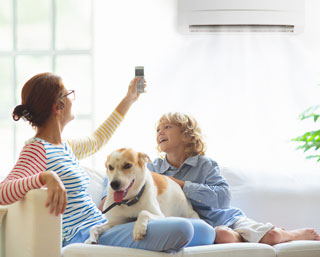 portfolio list first choice